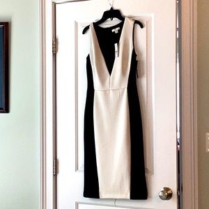 New York and company black and white dress